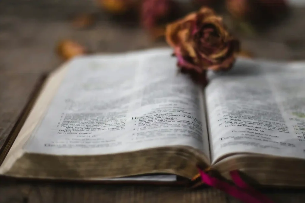 An open Bible with a rose